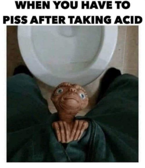 WHEN YOU HAVE TO PISS AFTER TAKING ACID