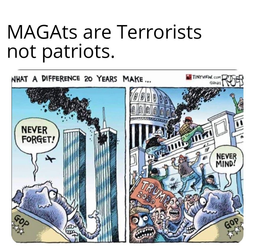 MAGALts are Terrorists not patriots NHAT A DIFFERENCE 20 YEARS MAKE T con LRI