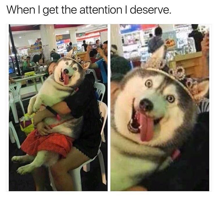 When get the attention deserve