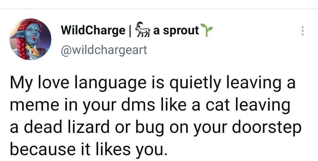 WildCharge 5 a sprout y wildchargeart My love language is quietly leaving a meme in your dms like a cat leaving a dead lizard or bug on your doorstep because it likes you