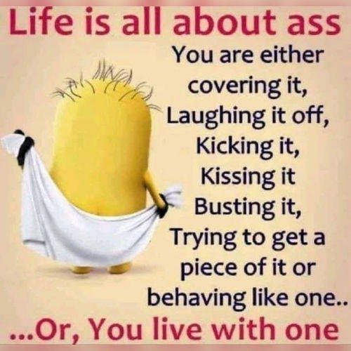 Life is all about ass You are either covering it Laughing it off Kicking it Kissing it Busting it Trying to geta piece of it or behaving like one 0r You live with one