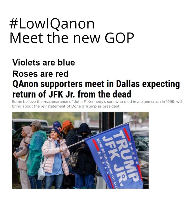 LowlQanon Meet the new GOP Violets are blue Roses are red QAnon supporters meet in Dallas expecting