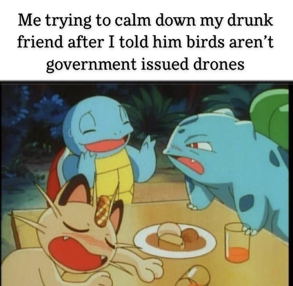 Me trying to calm down my drunk friend after I told him birds arent government issued drones