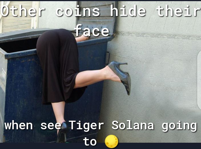 when se Tiger Solanagoing