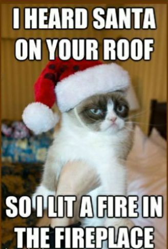 HEARD SANTA ONYOUR ROOF TIIEILIREHIAIE