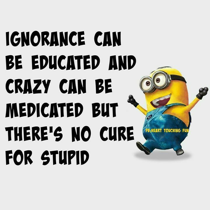 IGNORANCE CAN BE EDUCATED AND CRAZY CAN BE L MEDICATED BUT 7 THERES NO CURE k FOR STUPID