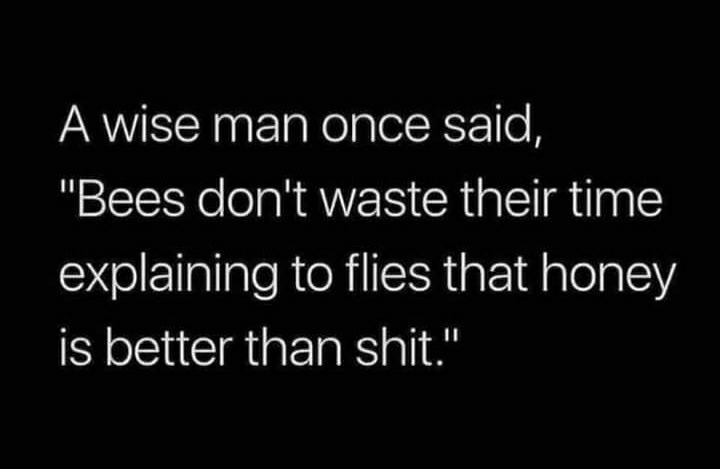 A wise man once said Bees dont waste their time explaining to flies that honey is better than shit