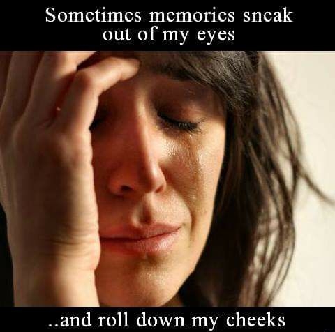 Sometimes memories sneak out of my eyes 2 and roll down my cheeks