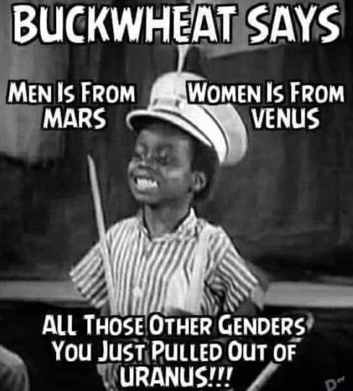 1BUCKWHE TSAYS ALL Tuosz OTHER GENDERS YOU JusTPULLED OUT OF TURANUSTT A