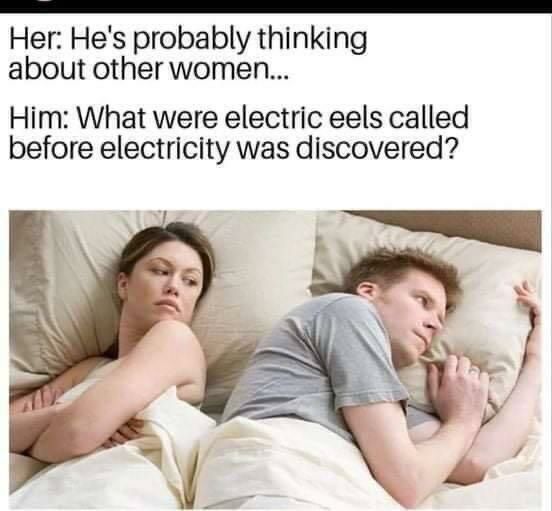 Her Hes probably thinking about other women Him What were electric eels called before electricity was discovered