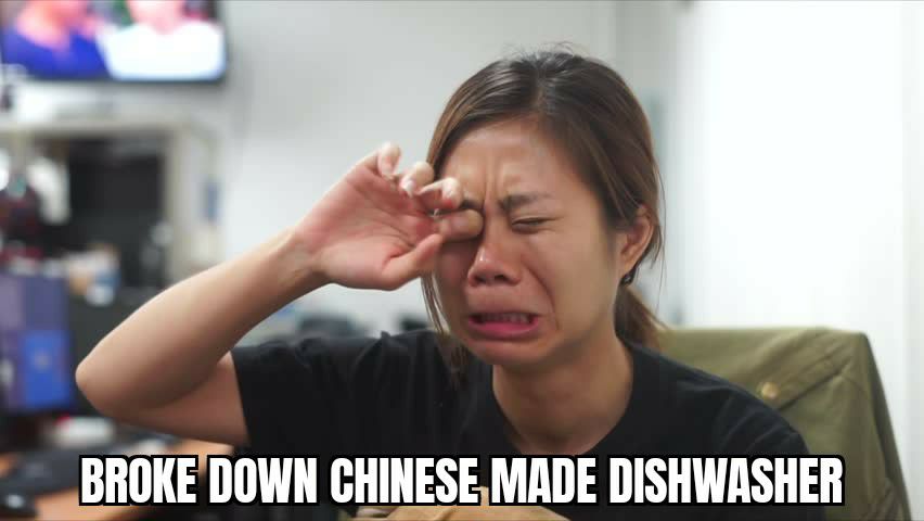 T BROKEDOWN CHINESEMADE DISHWASHER