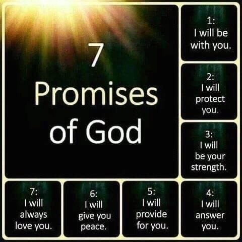 Mol ol CToo 7 I will EINENS love you 6 I will give you peace 5 Twill provide for you ds 1 will be with you 3 T will be your strength 4 1 will ELETT you