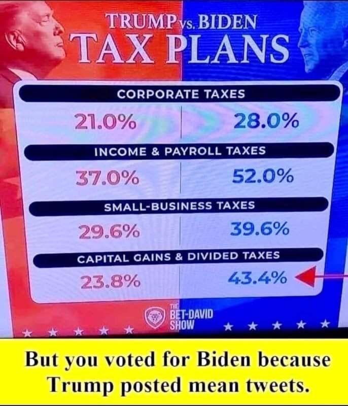 280 INCOME PAYROLL TAXES 520 PAL Business Taxes J 396 But you voted for Biden because Irump posted mean tweets