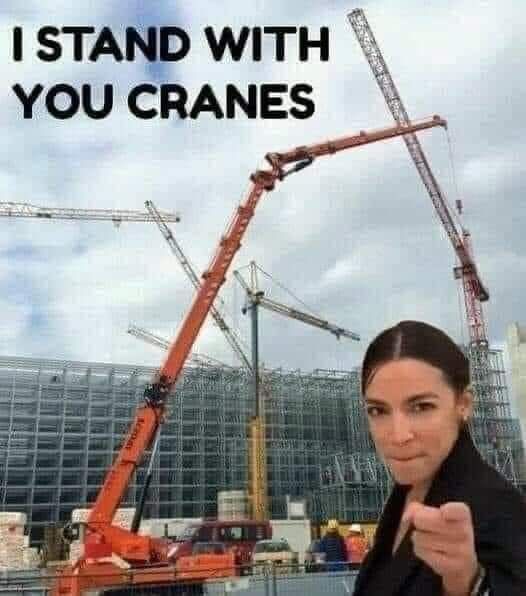 I STAND WITH YOU CRANES