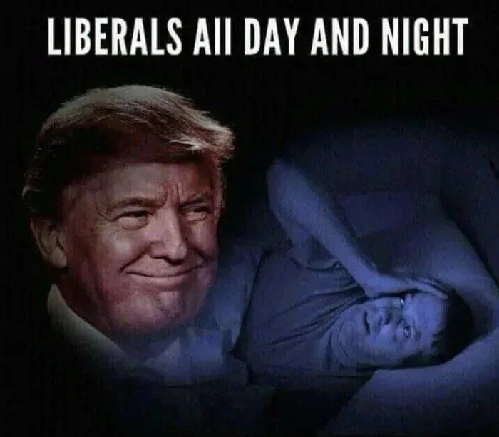 LIBERALS Al DAY AND NIGHT s 4 N