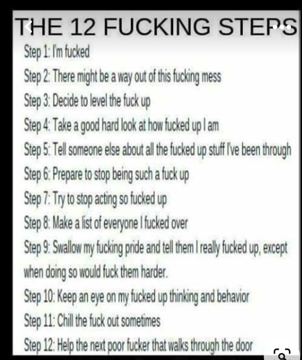 THE 12 FUCKING STEPS Step 1 Im fucked Step 2 There might be a way out o this fucking mess Step 3 Decide to level the fuck up Step 4 Take a good hard look at how fucked up am Step 5 Tel someone else about all the fucked up stuff ve been through Step 6 Prepare to stop being such a fuck up Step 7 Try to stop acting so fucked up Step 8 Make a ist of everyone fucked over Step 9 Swallow my fucking pode 