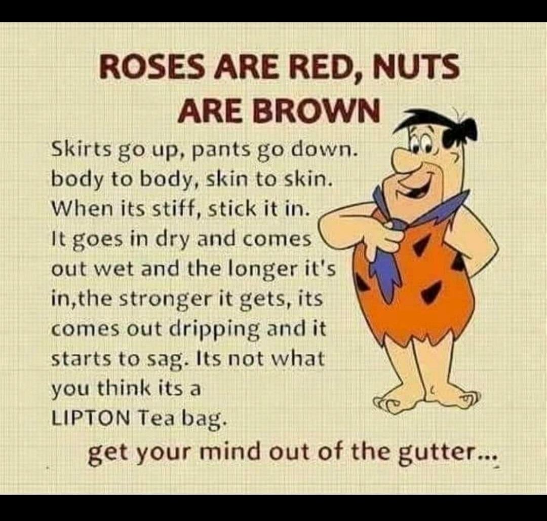 ROSES ARE RED NUTS ARE BROWN Skirts go up pants go down body to body skin to skin When its stiff stick it in It goes in dry and comes out wet and the longer its inthe stronger it gets its comes out dripping and it starts to sag Its not what you think its a LIPTON Tea bag get your mind out of the gutter