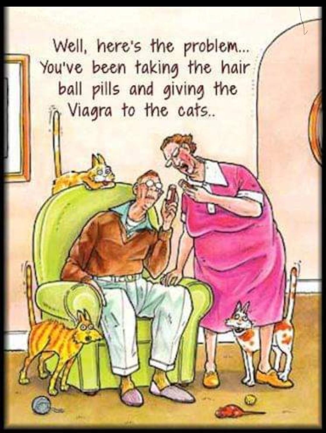 Well heres the problem Youve been taking the hair ball pills and giving the Viagra to the cafs