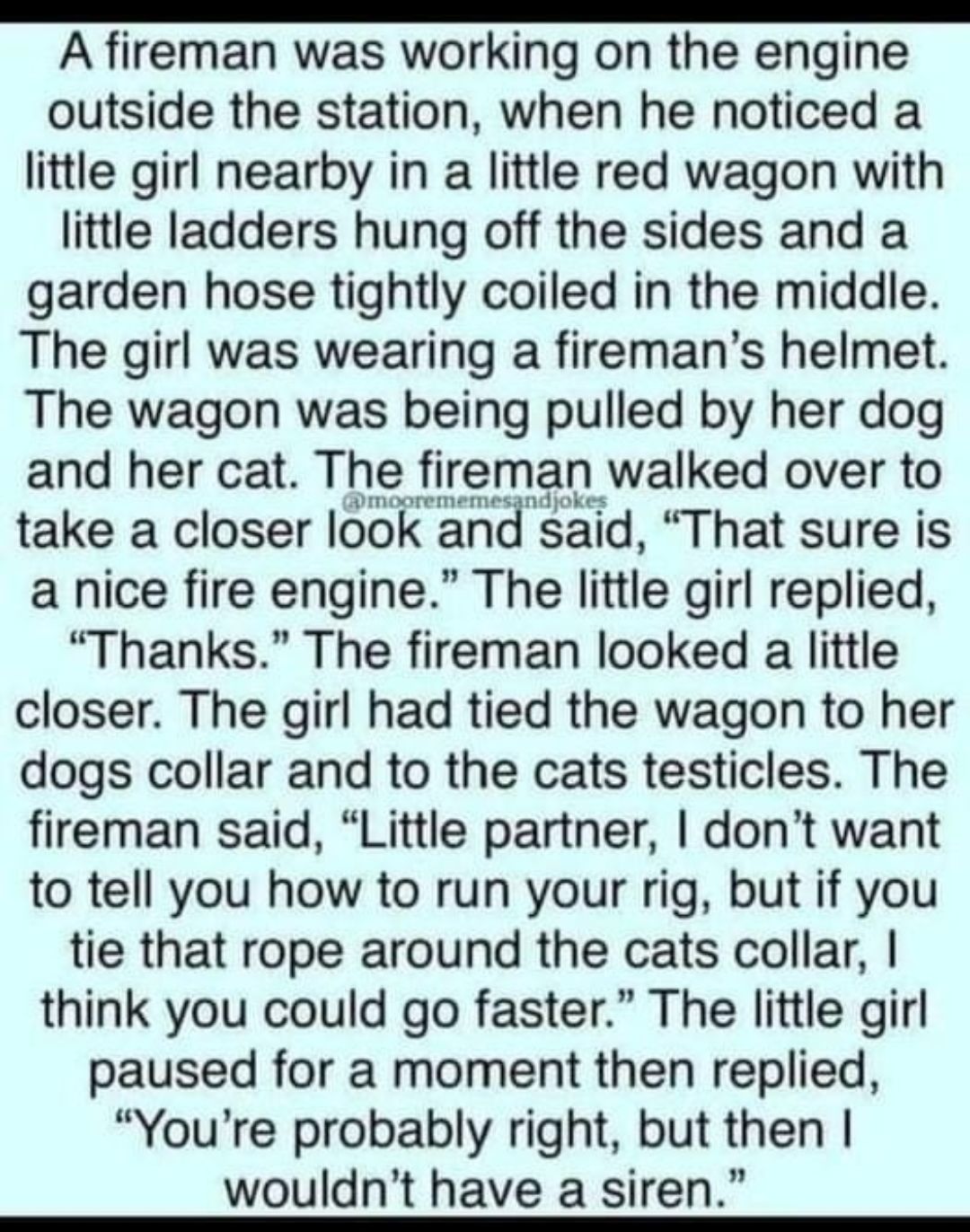 A fireman was working on the engine outside the station when he noticed a little girl nearby in a little red wagon with little ladders hung off the sides and a garden hose tightly coiled in the middle The girl was wearing a firemans helmet The wagon was being pulled by her dog and her cat The flreman walked over to take a closer look and said That sure is a nice fire engine The little girl replied