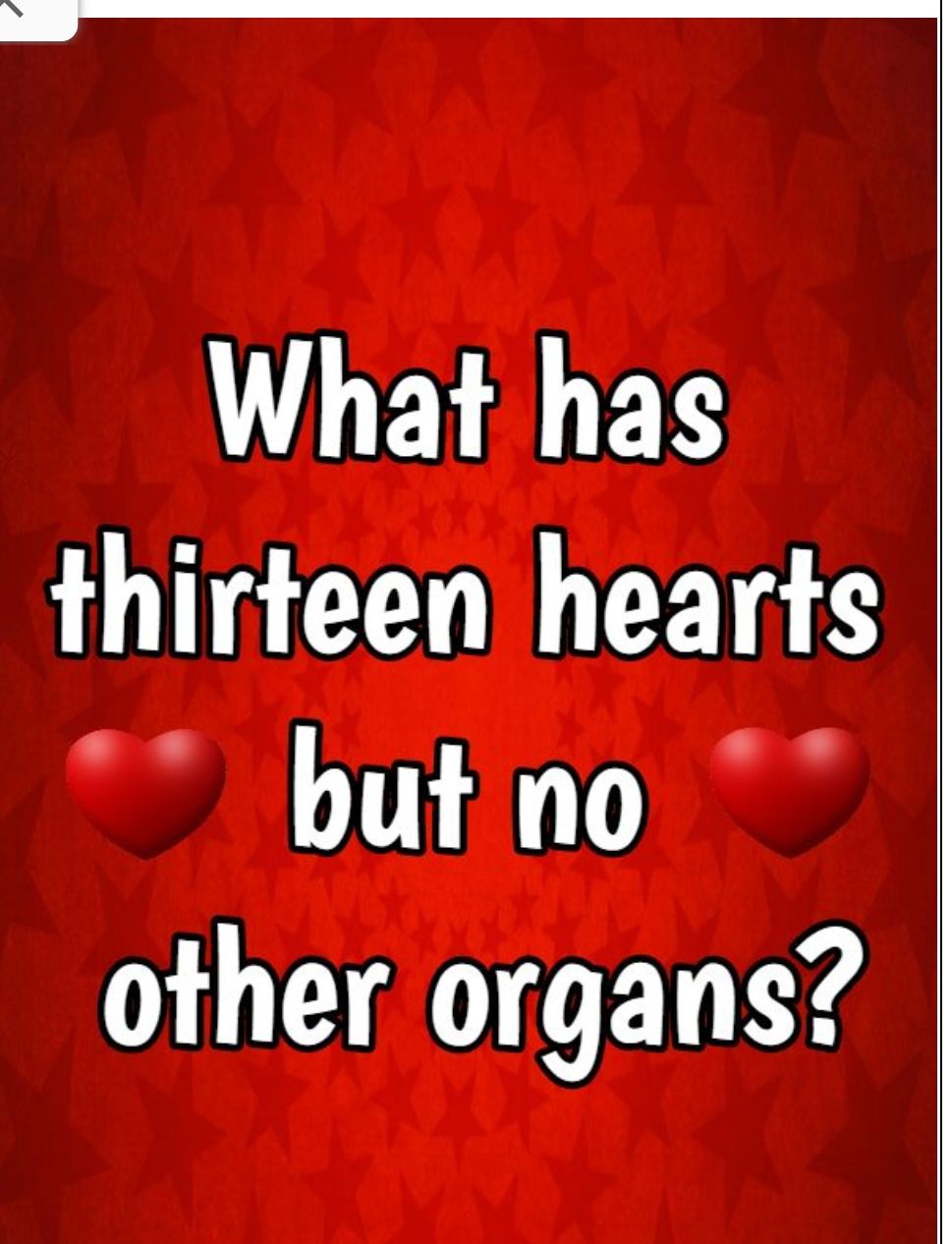 What has thirteen hearts but no other organs