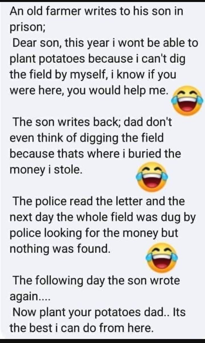 An old farmer writes to his son in prison Dear son this year i wont be able to plant potatoes because i cant dig the field by myself i know if you were here you would help me The son writes back dad dont even think of digging the field because thats where i buried the money i stole The police read the letter and the next day the whole field was dug by police looking for the money but nothing was f