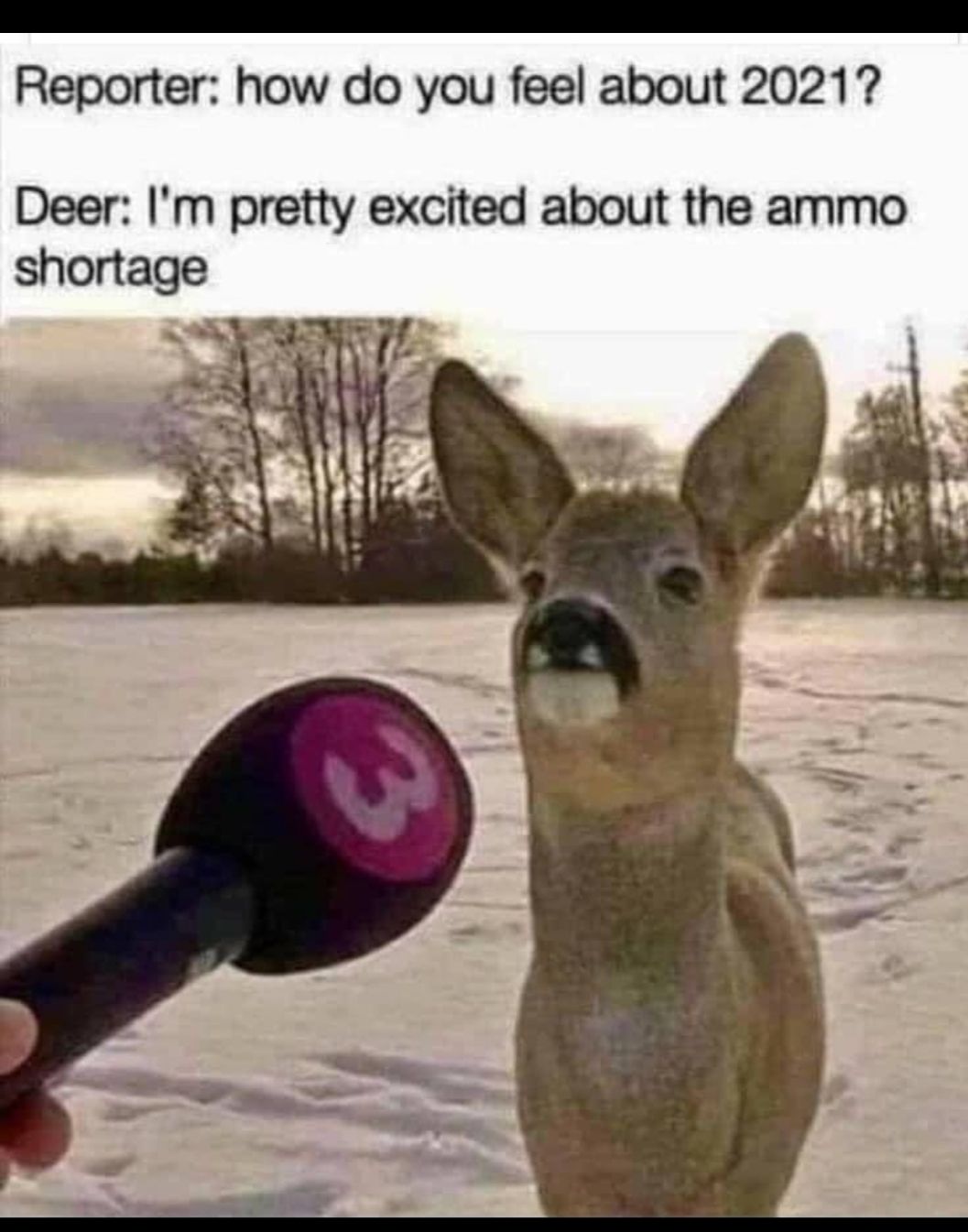 Reporter how do you feel about 20217 Deer Im pretty excited about the ammo shortage