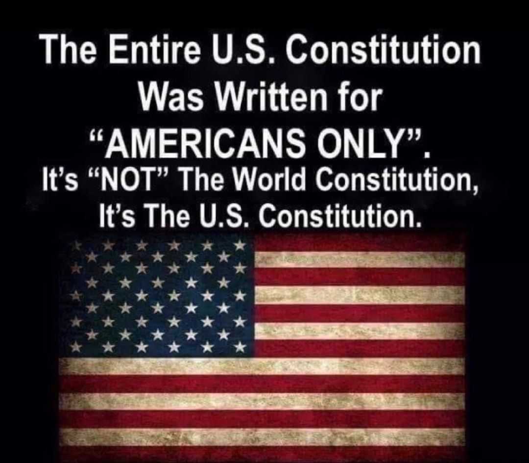 L CR AN GRS I T1e U R T CHBg AMERICANS ONLY 0O0 N TR T OO T B R T o B 163 The US Constitution