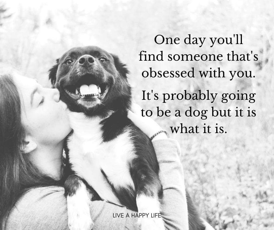 One day youll find someone thats obsessed with you Its probably going to be a dog but it is what it is