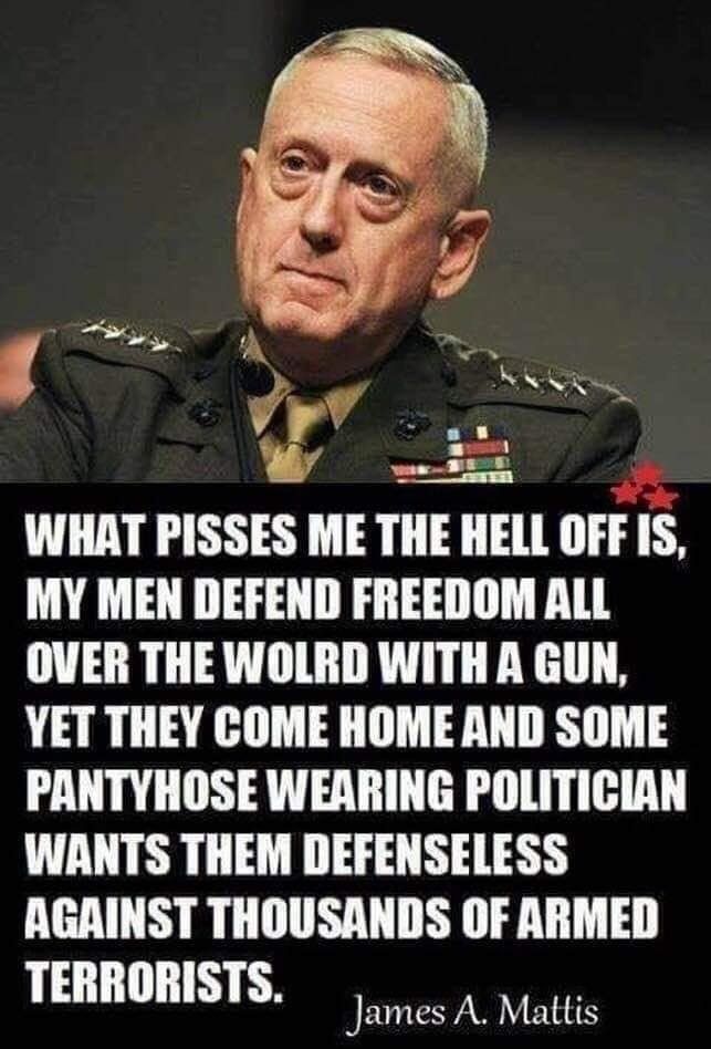 WHAT PISSES ME THE HELL OFF IS MY MEN DEFEND FREEDOM ALL OVER THE WOLRD WITH A GUN YET THEY COME HOME AND SOME PANTYHOSE WEARING POLITICIAN WANTS THEM DEFENSELESS AGAINST THOUSANDS OF ARMED TERRORISTS James A Mattis