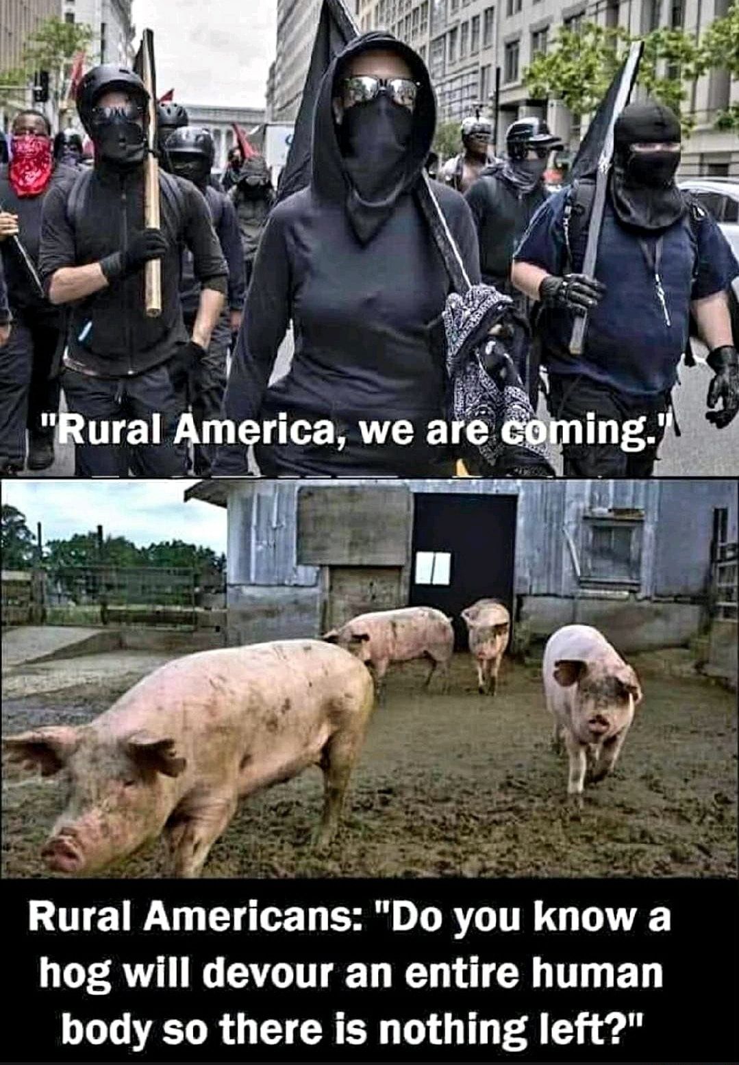 Rural Americans Do you know a hog will devour an entire human body so there is nothing left