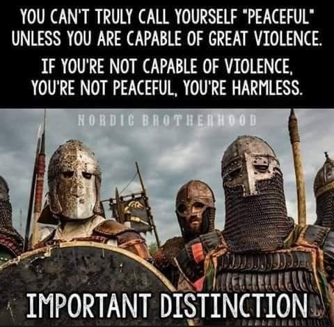 YOU CANT TRULY CALL YOURSELF PEACEFUL UNLESS YOU ARE CAPABLE OF GREAT VIOLENCE IF YOURE NOT CAPABLE OF VIOLENCE YOURE NOT PEACEFUL YOURE HARMLESS IMPORTANT DISTINCTION