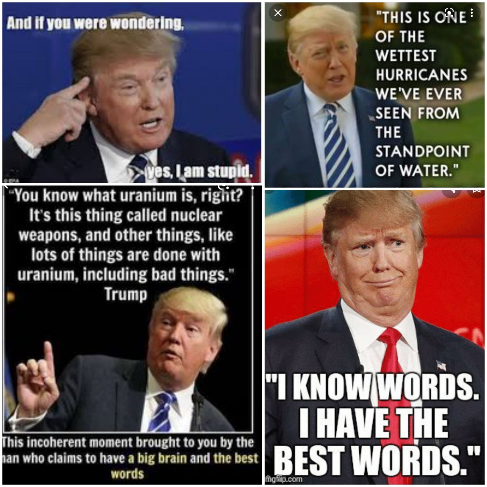 THIS IS ONE OF THE WETTEST HURRICANES WEVE EVER SEEN FROM THE STANDPOINT OF WATER You know what uranium is right Its this thing called nuclear weapons and other things like lots of things are done with uranium including bad things Trump 0 his mcoherent moment brought LORTITR RS I AVE T an who claims to have a big brain and the best UBEST wnnns 3 mghiipcom words