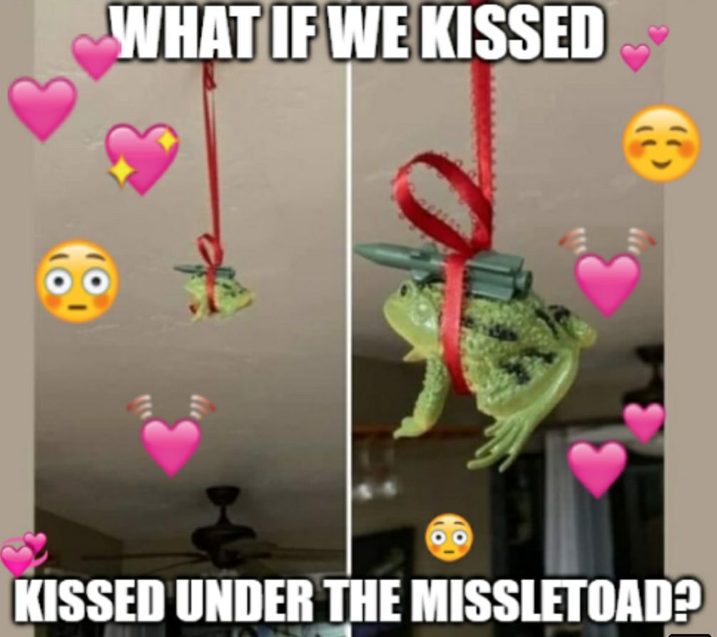 KISSED UNDER THE MISSLETOAD2