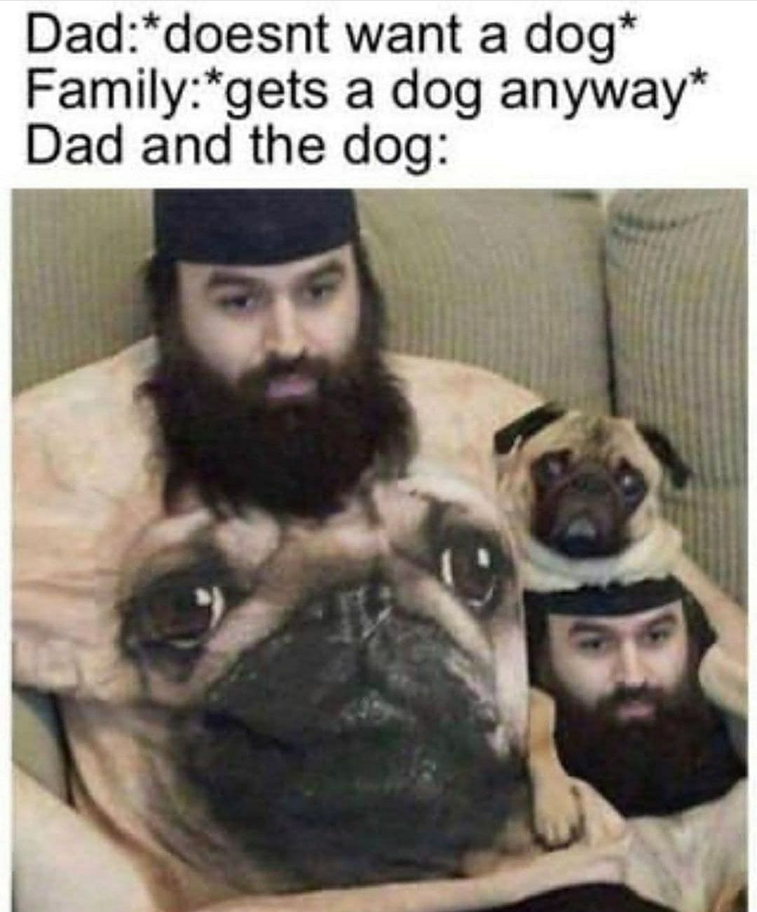 Daddoesnt want a dog Familygets a dog anyway Dad and the dog