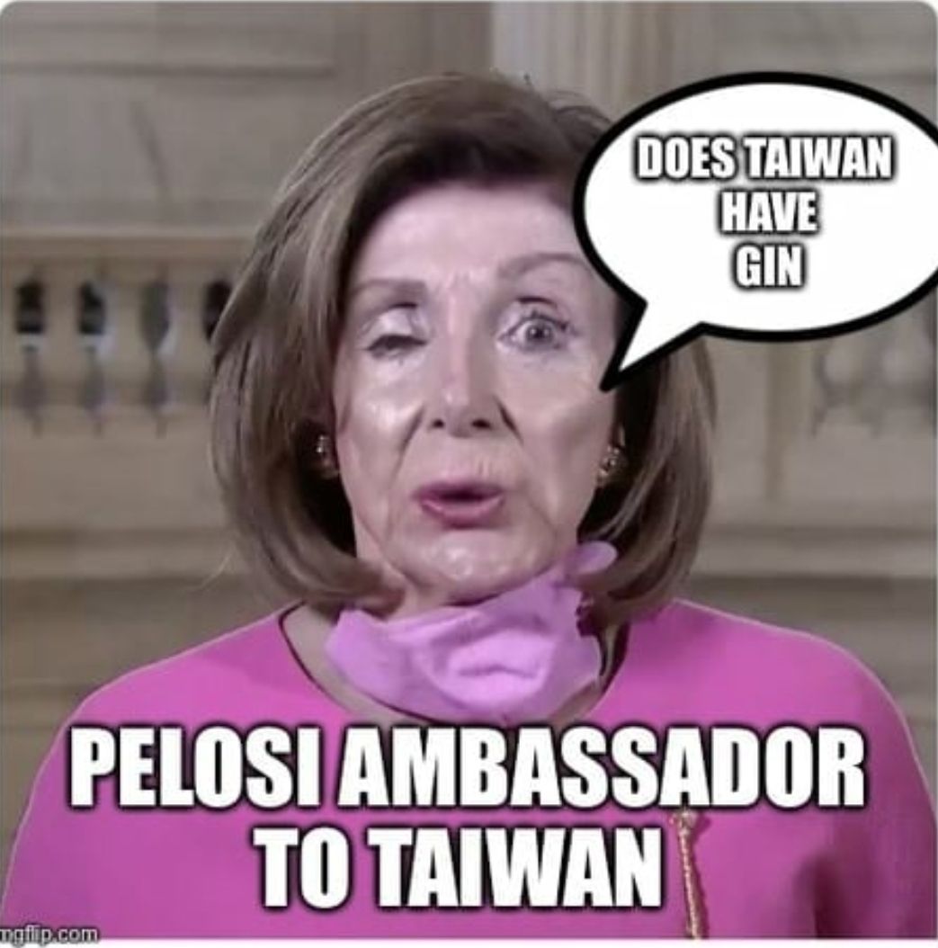 DOESTAIWAN T GIN PELOSIAMBASSADOR TOTAIWAN