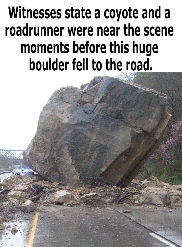 Witnesses state a coyote and a roadrunner were near the scene moments before this huge boulder fell to the road w7 B