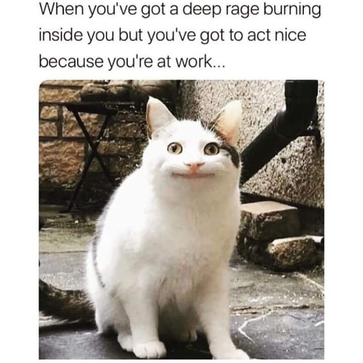 When youve got a deep rage burning inside you but youve got to act nice because youre at work