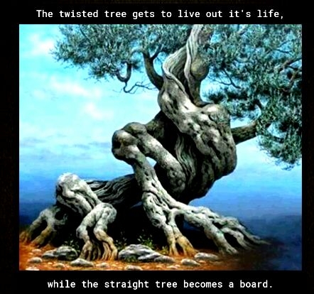 The twisted tree gets to live out its life while the straight tree becomes a board