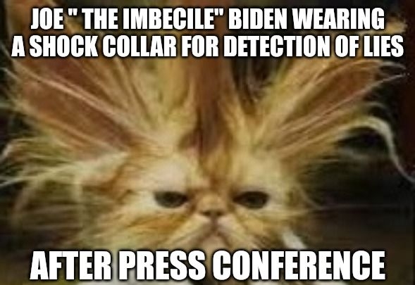 JOE THE IMBECILE BIDEN WERRING ASHOCK COLLAR FOR DETECTION OFLIES ES AFTERIPRESS CONFERENCE