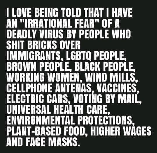 LOVE BEING TOLD THAT HAVE AN IRRATIONAL FEAR OF A slllY IIIU BY PEOPLE WHO IMMIGRANTS IGBTO PEOPLE BROWN PEOPLE BLACK PEOPLE WORKING WOMEN WIND MILLS CELLPHONE ANTENAS VACCINES ELECTRIC CARS VOTING BY MAIL UNIVERSAL HEALTH CARE ENVIRONMENTAL PROTECTIONS PLANT BASED FOOD HIGHER WAGES AND FACE MASKS