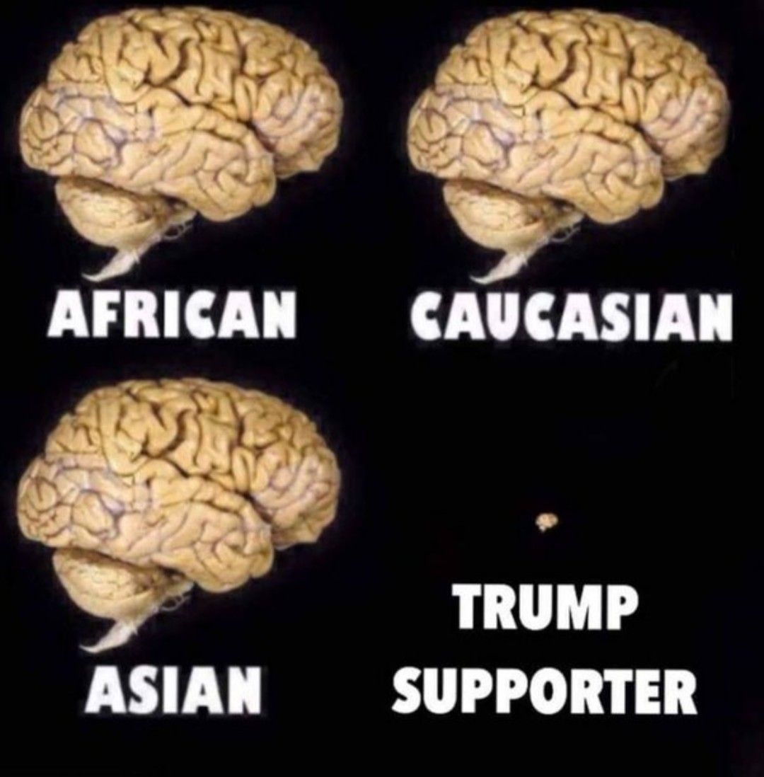 TRUMP ASIAN SUPPORTER