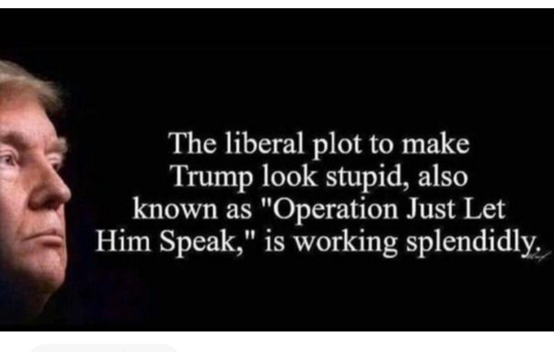 The liberal plot to make Trump look stupid also known as Operation Just Let Him Speak is working splendidly