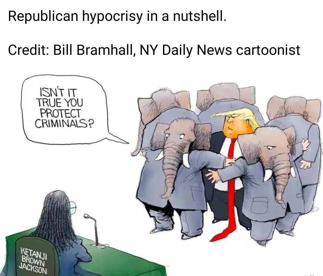 Republican hypocrisy in a nutshell Credit Bill Bramhall NY Daily News cartoonist ISNTIT TRUE YOU PROTECT CRIMINAS