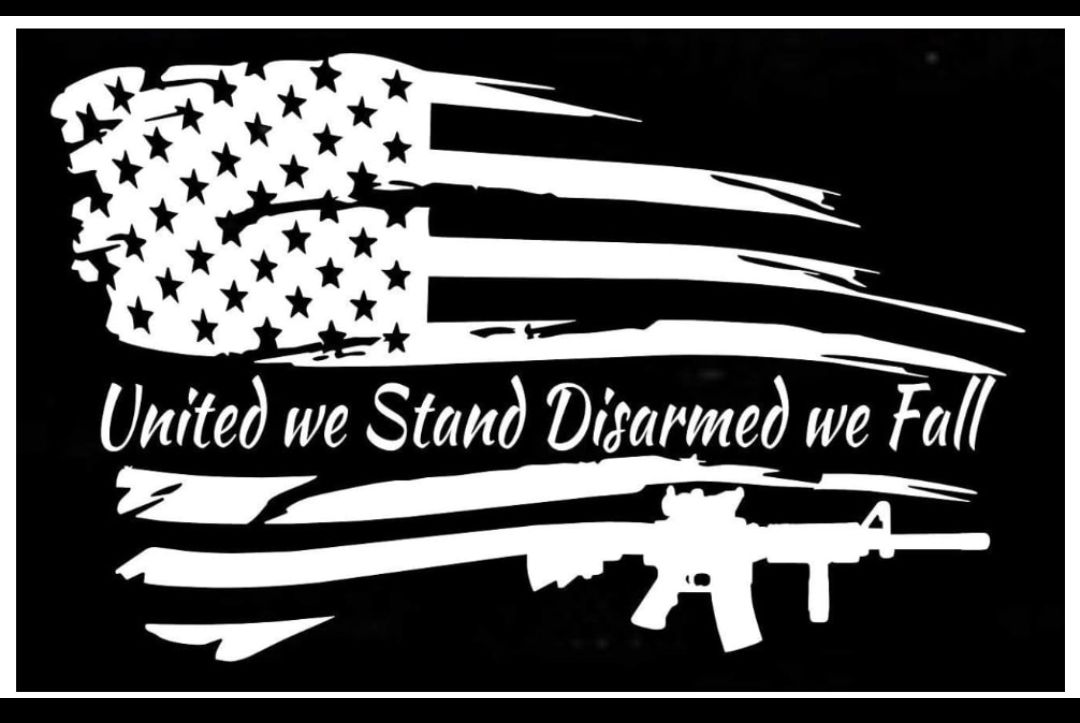 United we Stand Disarmed we Fall et