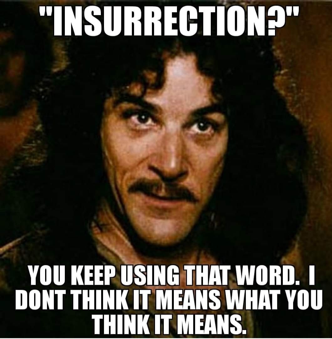 INSURRECTION YOU KEEP USING THAT WORD DONT THINK ITM TH WHAT YOU THINK IT MEANS