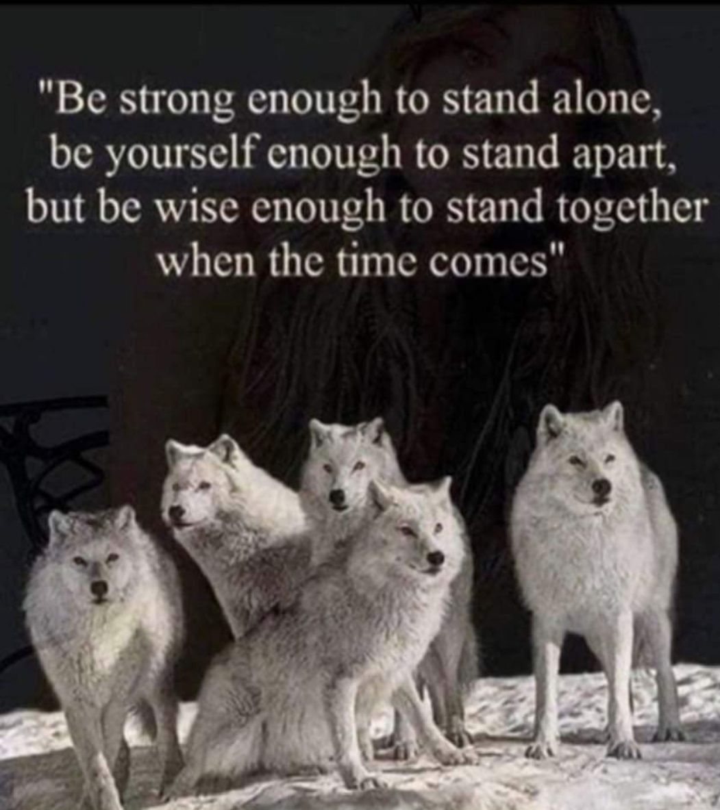 Be strong enough to stand alone be yourself enough to stand apart but be wise enough to stand together when the time comes