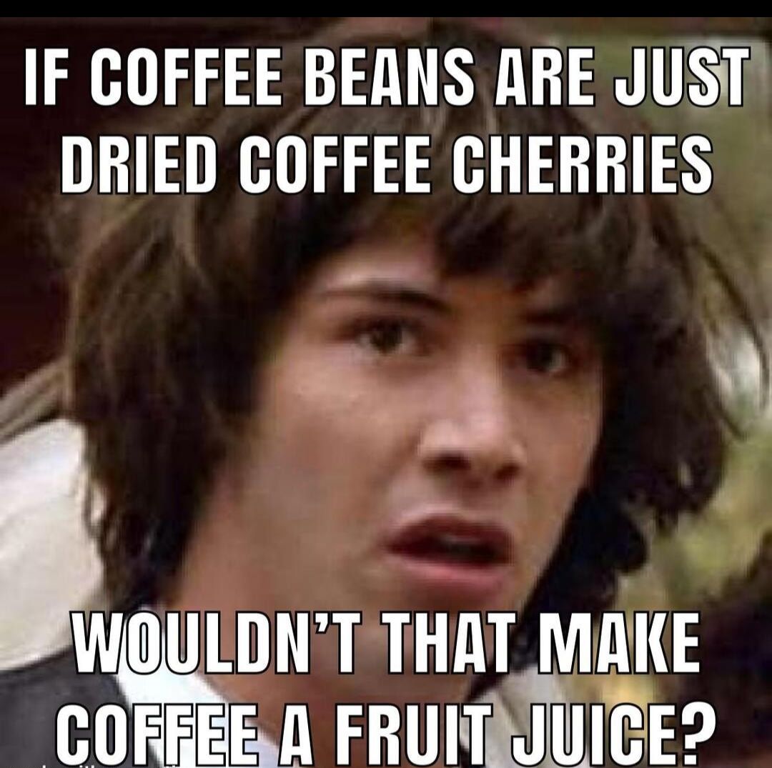 IF COFFEE BERNS ARE JUST DRIED COFFEE CHERRIES e i wmuumr THAT MAKE COFEEEA FRUITRJUICE