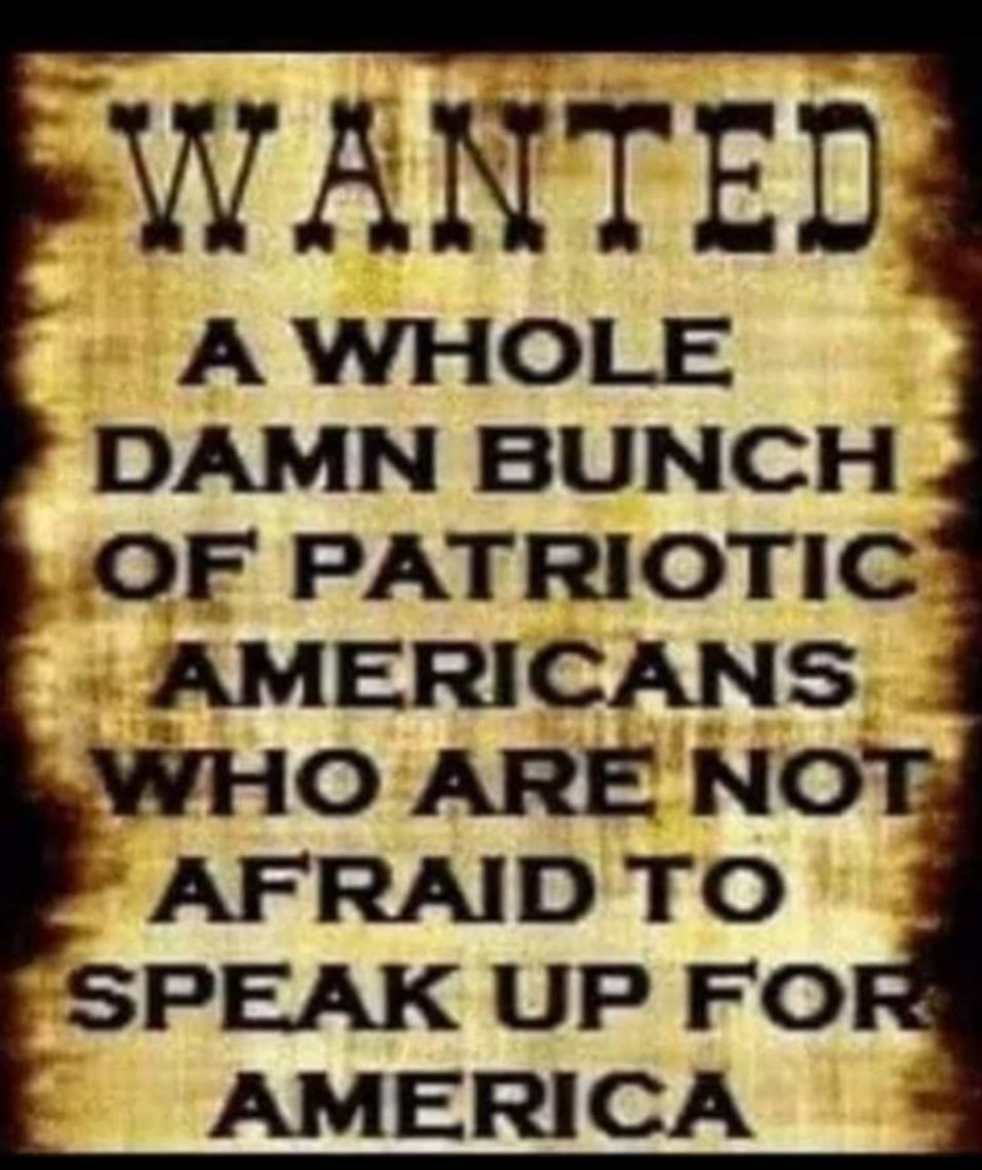 WANTED DAMN BUNCH OF PATRIOTIC