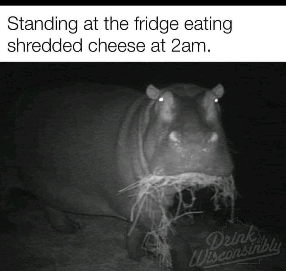 Standing at the fridge eating shredded cheese at 2am