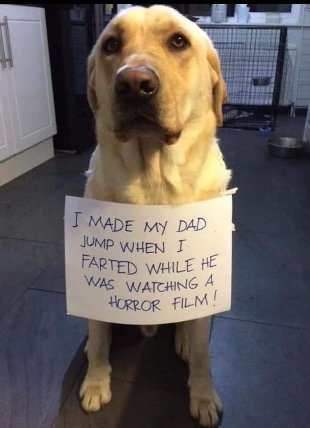 FMADE a1y DAD OMPWHEN T FARTED WHiLE HE WAS WATCHING A HoRpoR Fi M